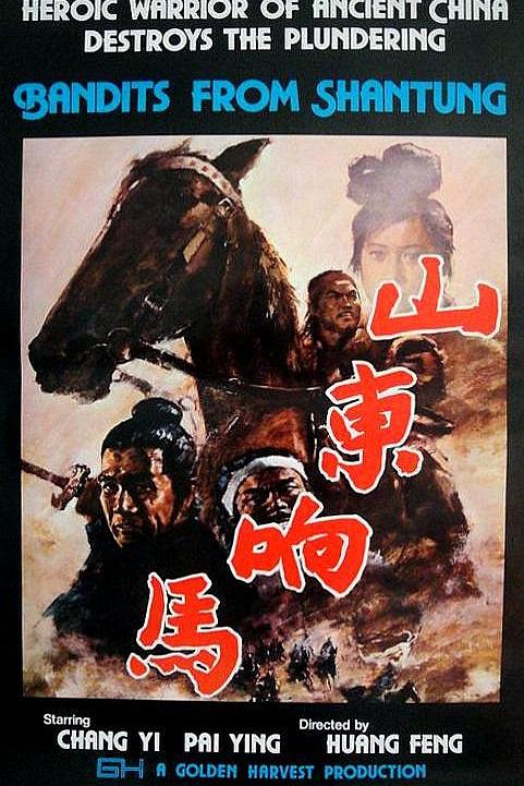 山东响马海报