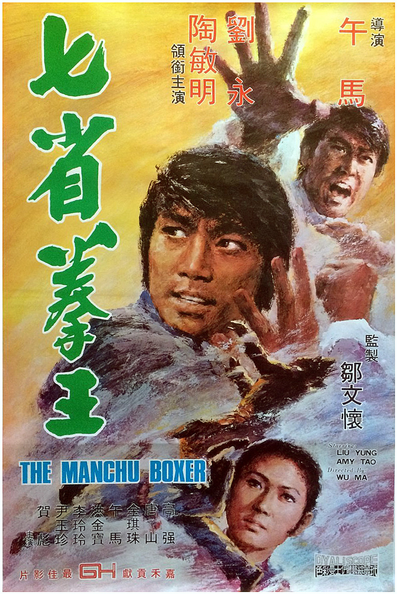 七省拳王海报