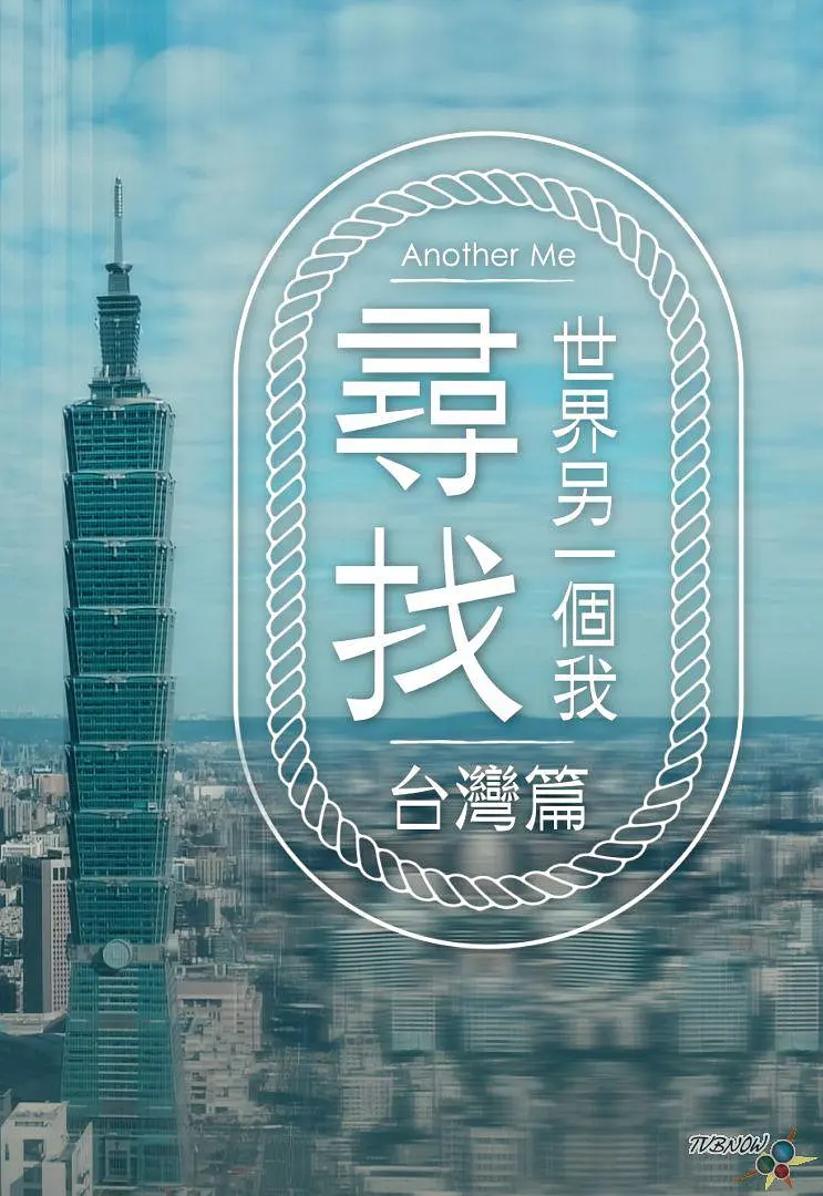 寻找世界另一个我粤语海报
