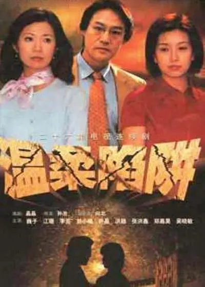 温柔陷阱2001海报