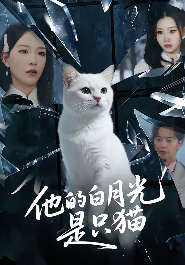 他的白月光是只猫海报