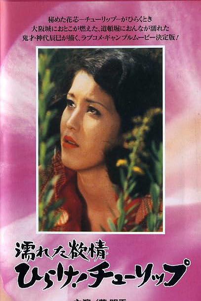 濡れた的欲情海报