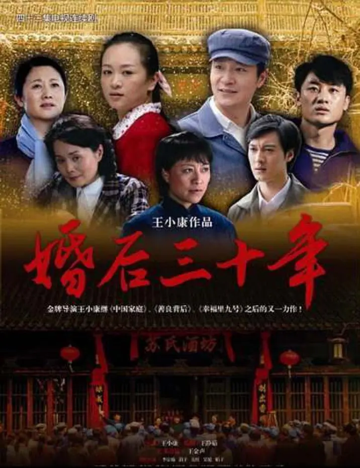 婚后三十年2009海报