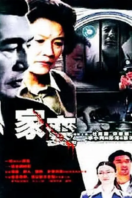 家变海报