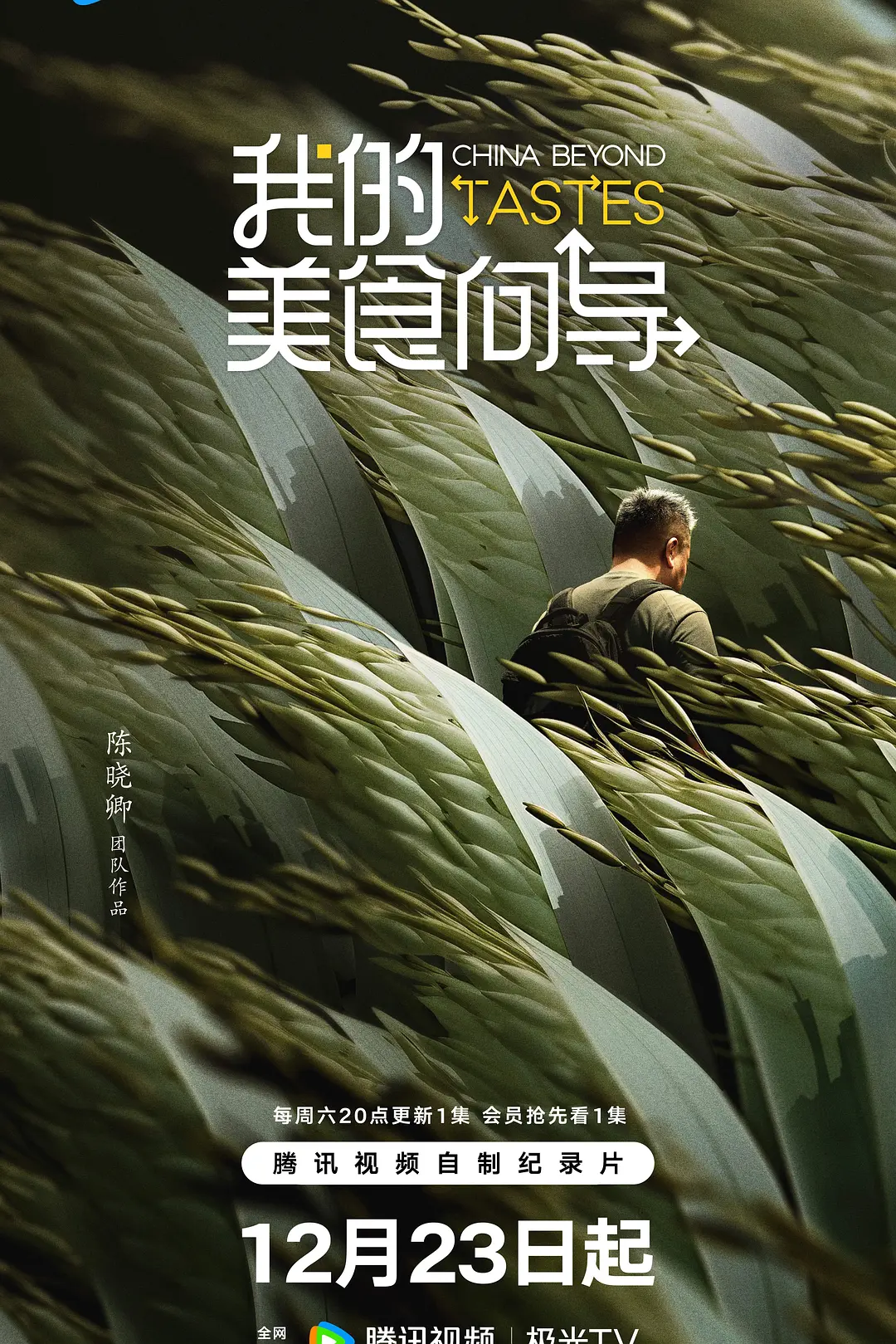 我的美食向导海报
