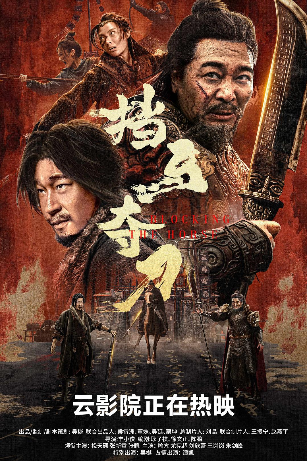 挡马夺刀海报