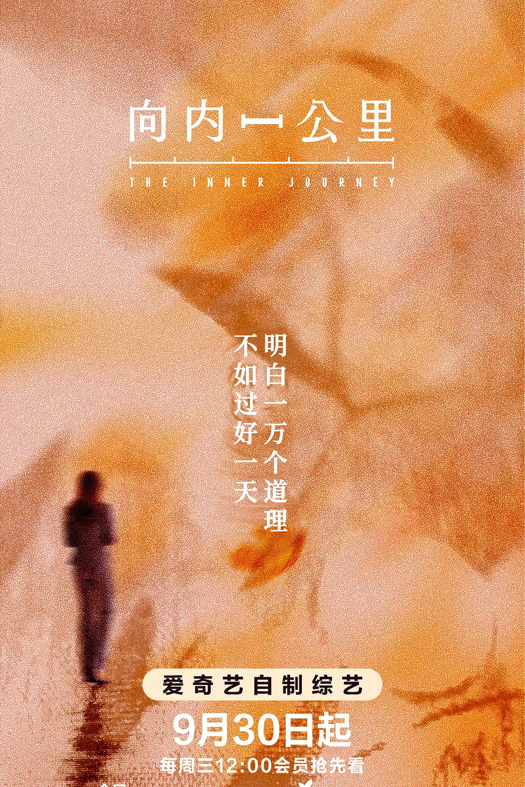 向内一公里海报