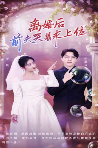 离婚后，前夫哭着求上位海报
