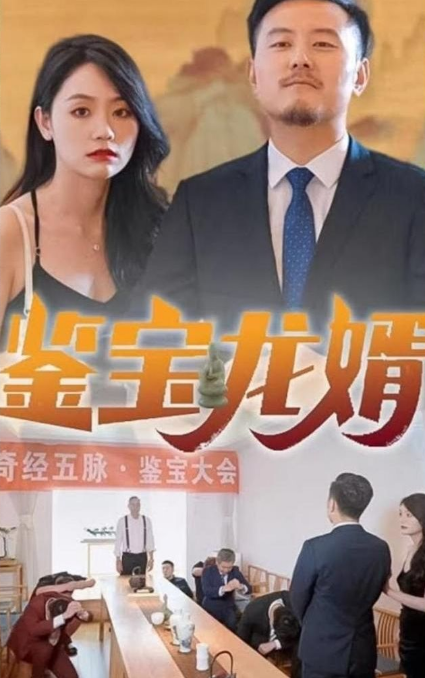 鉴宝龙婿海报