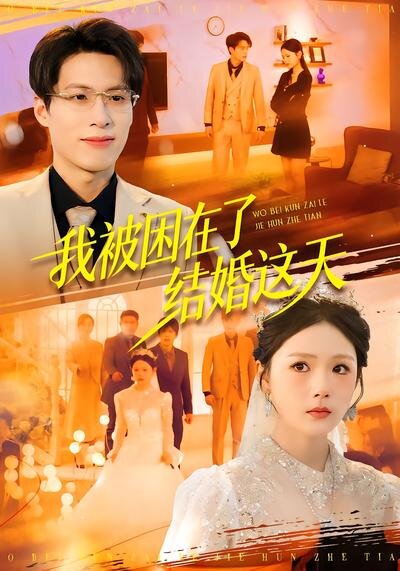 我被困在了结婚这天海报