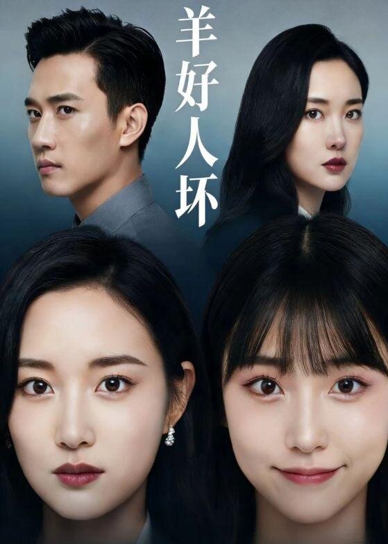 羊好人坏海报