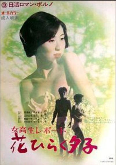 女高报告：花样开放的夕子海报