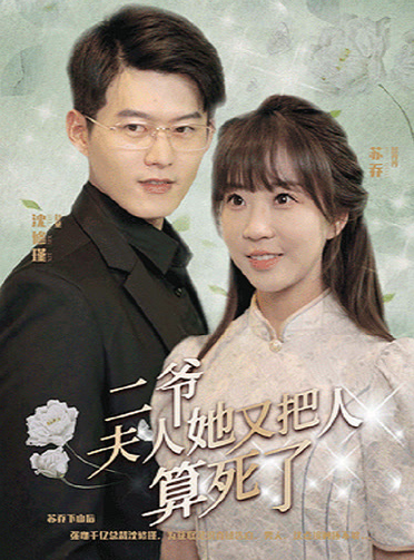 二爷，夫人她又把人算死了海报