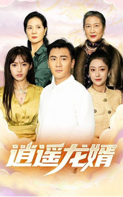 逍遥龙婿海报
