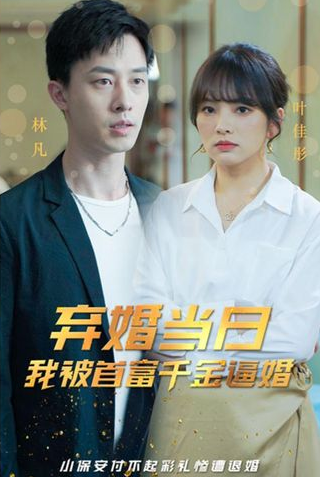 弃婚当日，我被首富千金逼婚海报