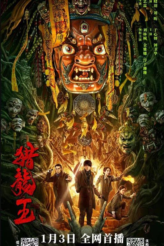猎龙王海报
