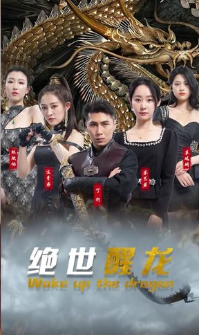 绝世醒龙海报