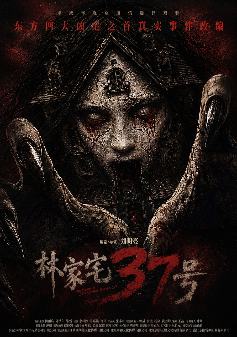 林家宅37号海报