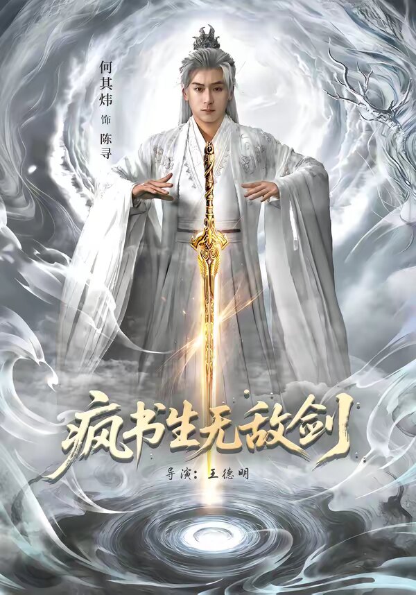 疯书生无敌剑海报