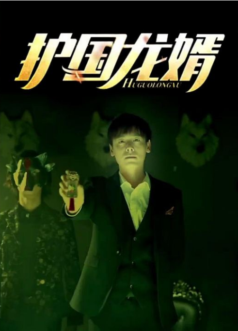 护国龙婿海报