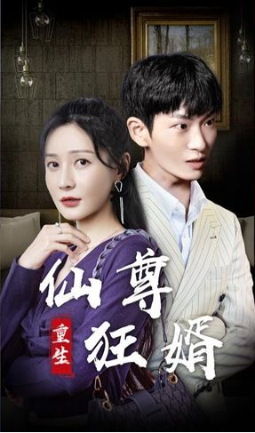 重生仙尊狂婿海报