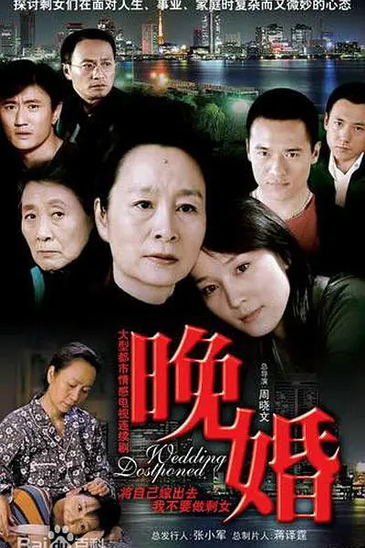晚婚2009海报