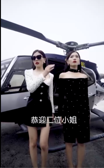 我的双胞胎姐妹海报