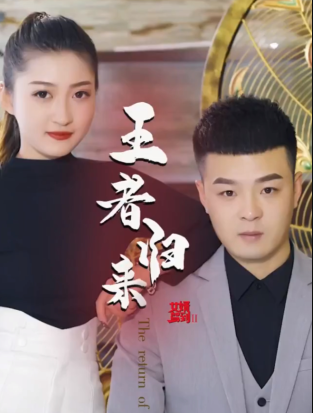 女婿驾到②王者归来海报
