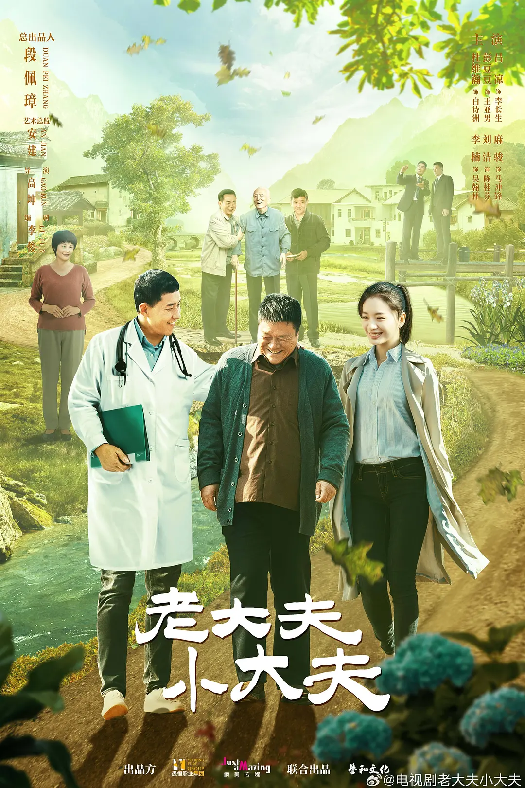 老大夫小大夫海报