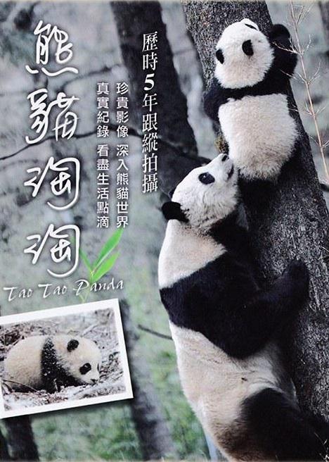 熊猫淘淘海报