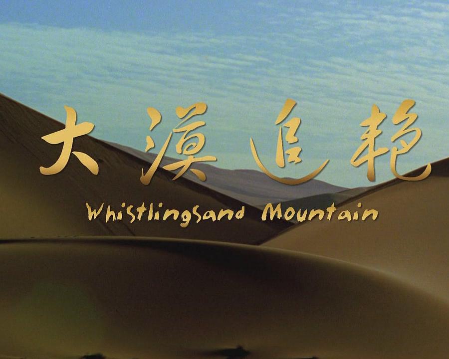 大漠追艳海报