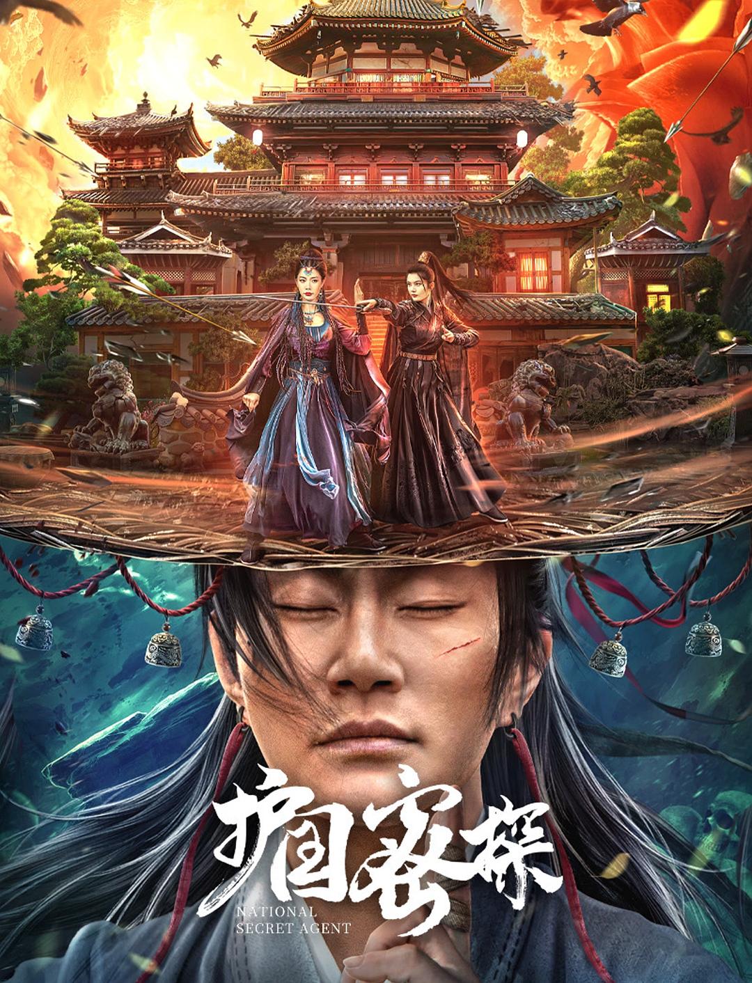 护国密探海报