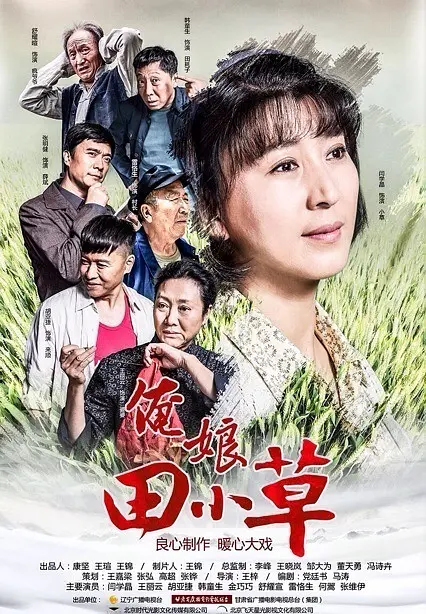 俺娘田小草海报