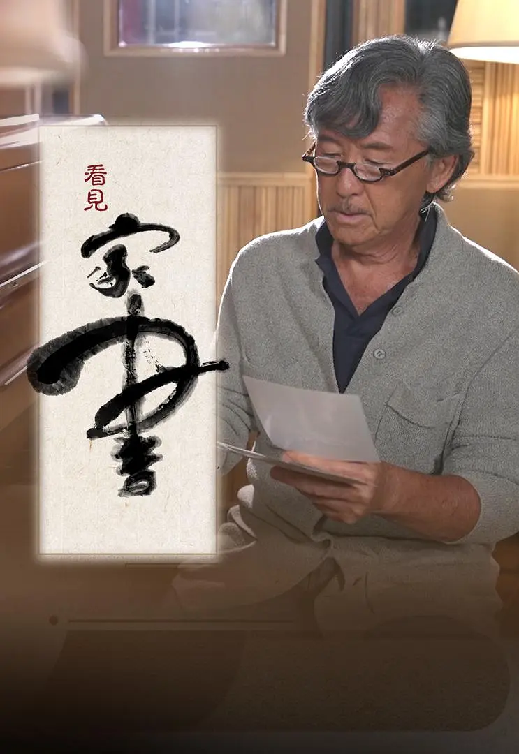 看见家书粤语海报