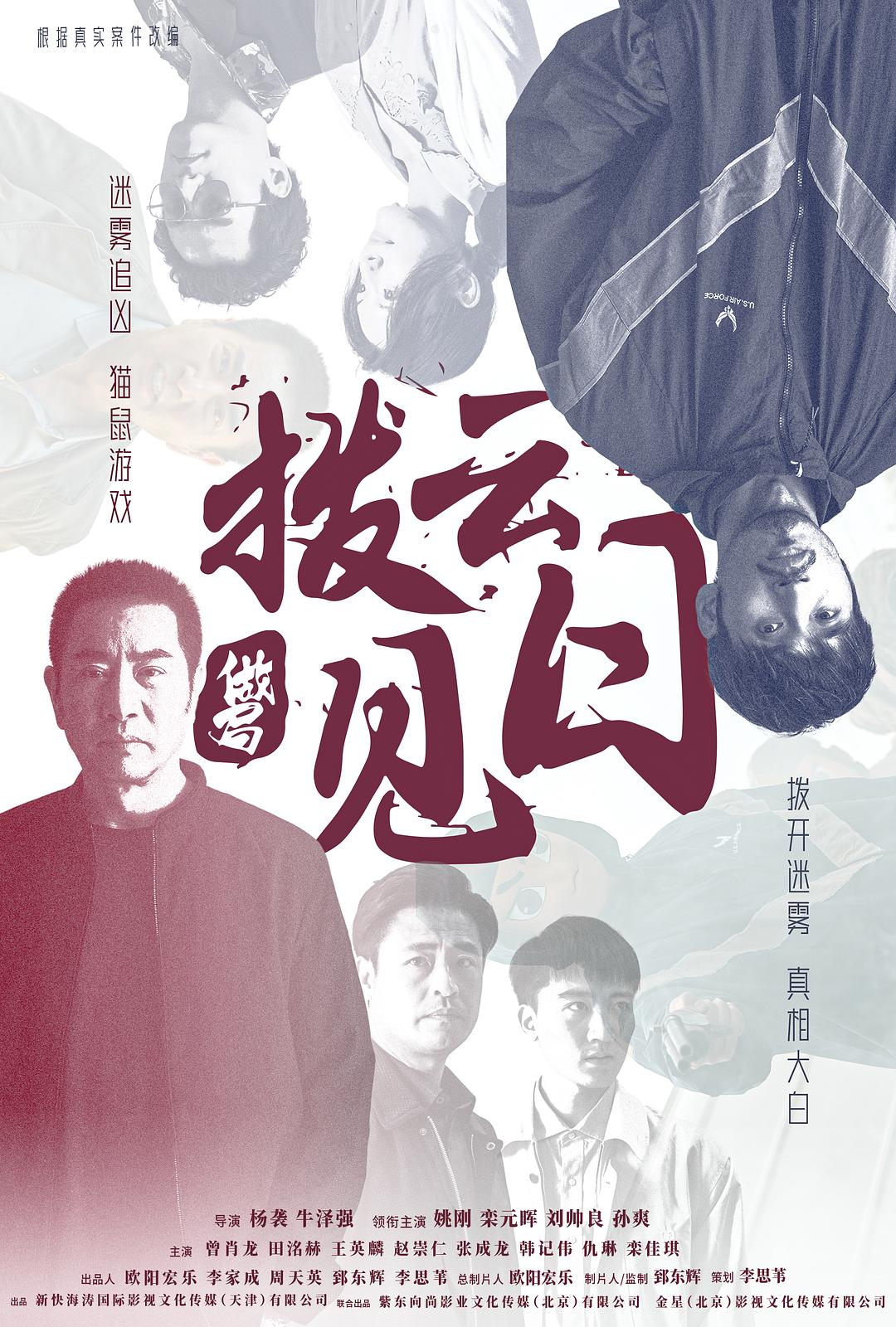 拨云见日2024海报