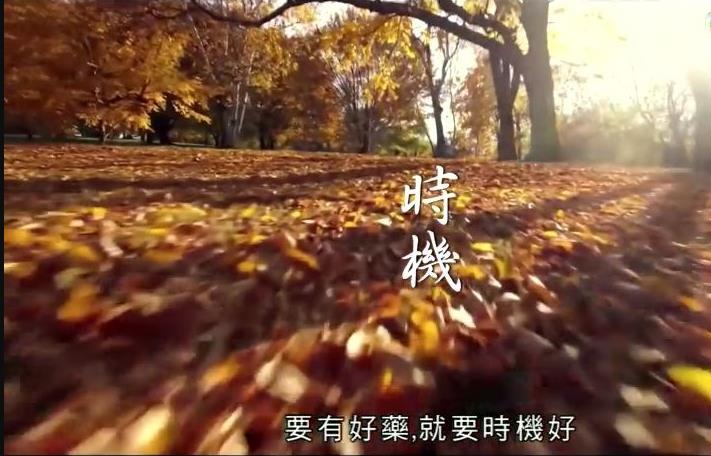 神奇百草游粤语海报