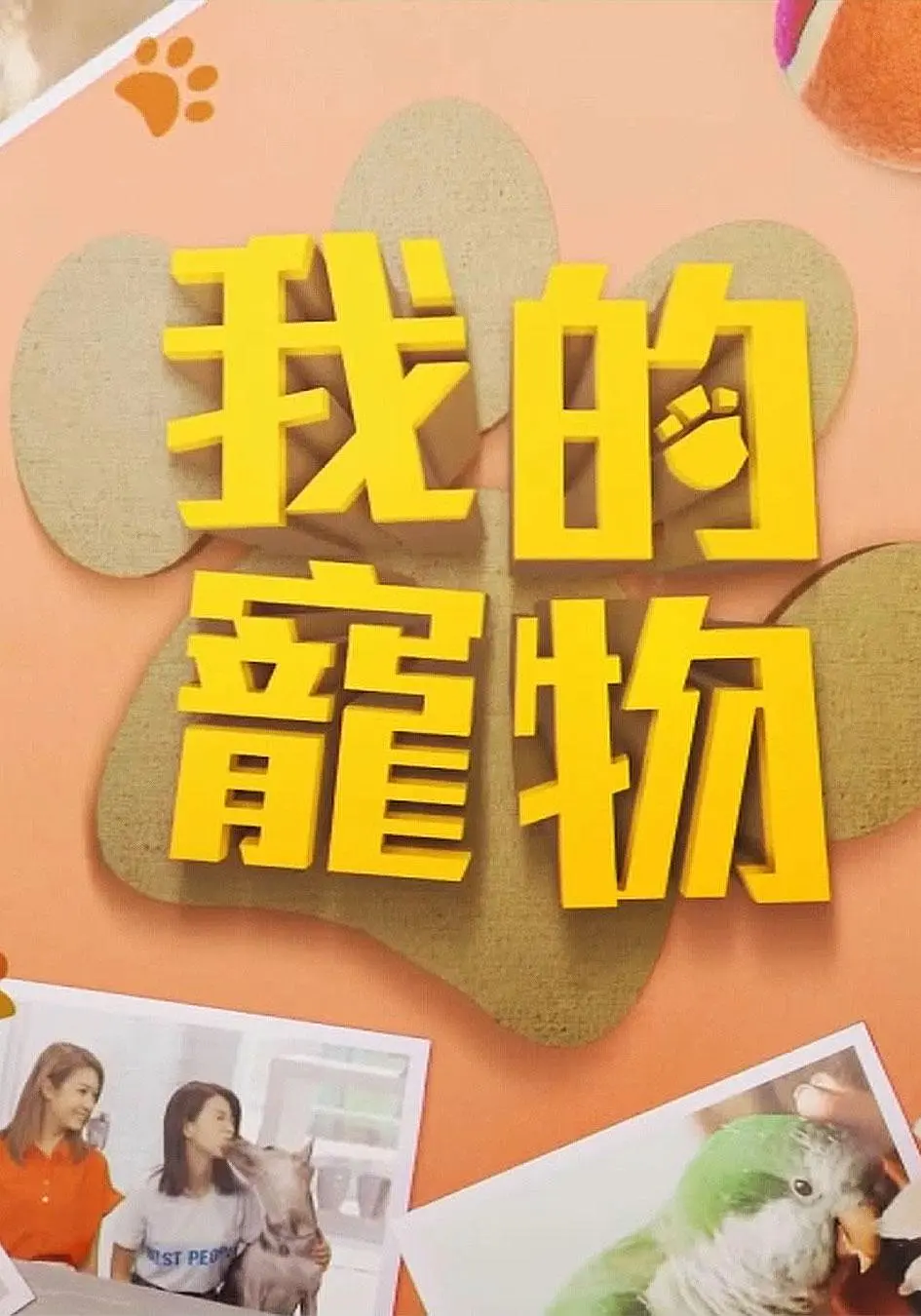 我的宠物粤语海报