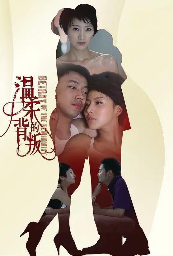温柔的背叛海报