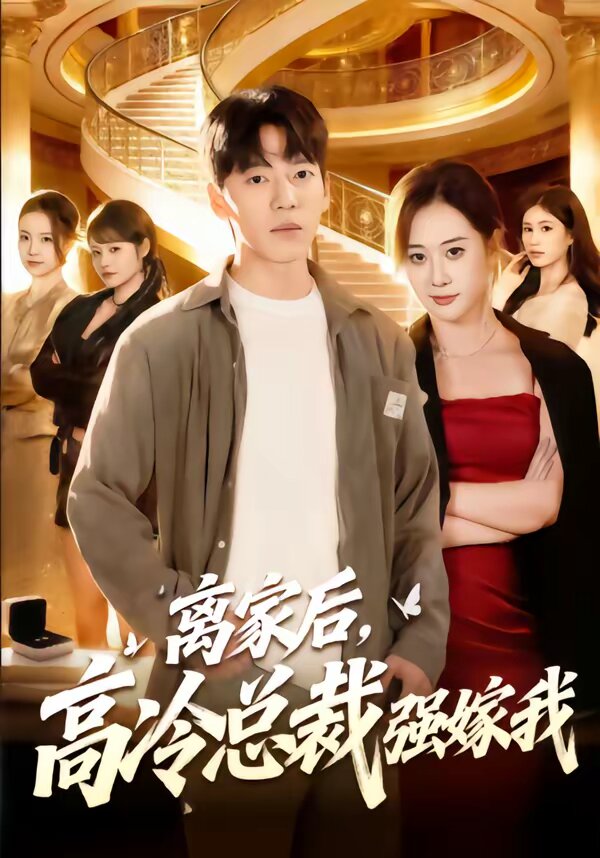离家后，高冷总裁强嫁我海报