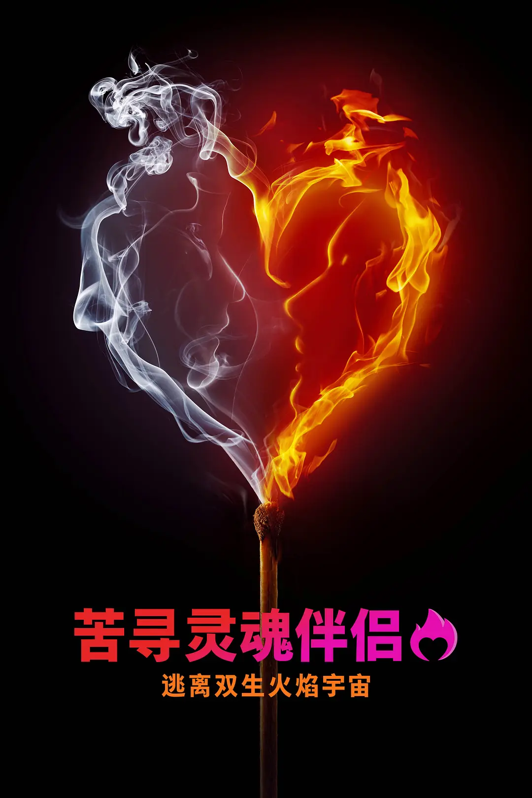 寻找灵魂伴侣：逃离双生火焰宇宙海报