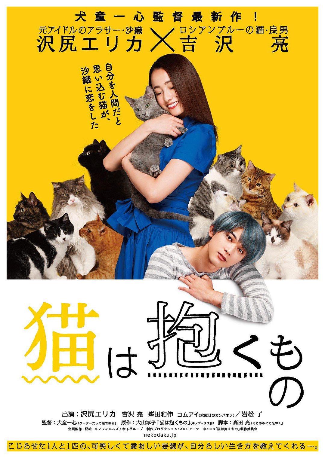 猫是要抱着的海报