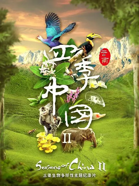 四季中国第二季粤语海报
