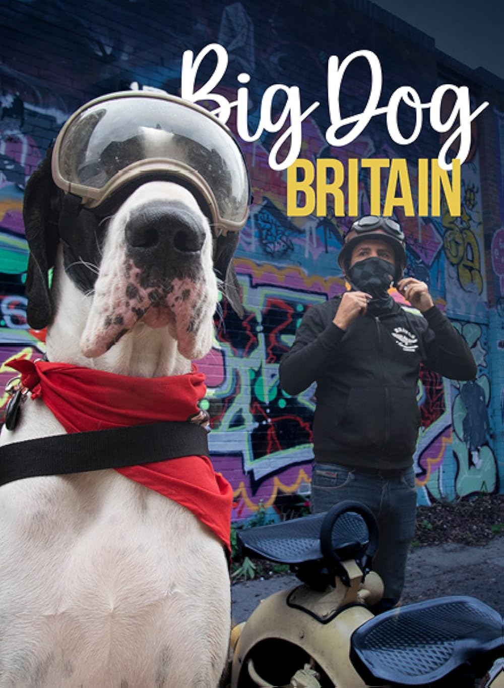 英伦巨犬粤语海报