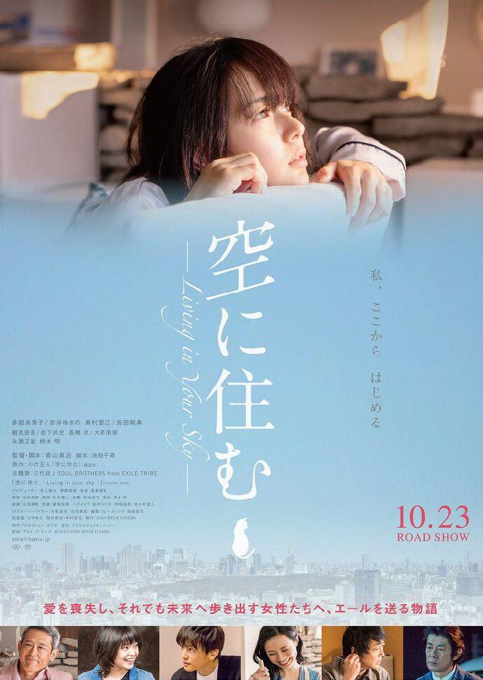 住在空中海报