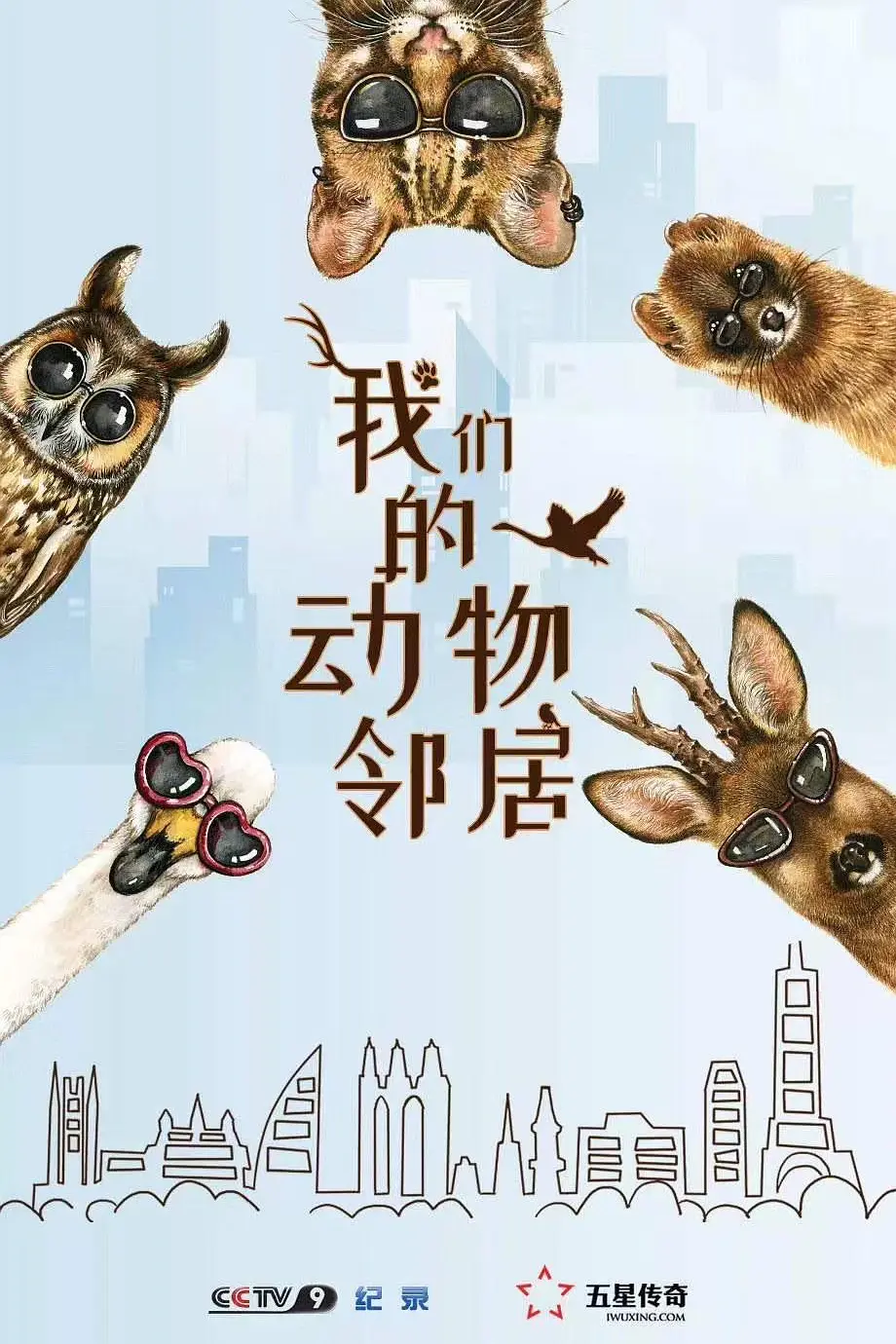 我们的动物邻居粤语海报