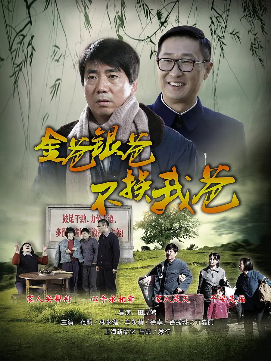 平凡的岁月海报