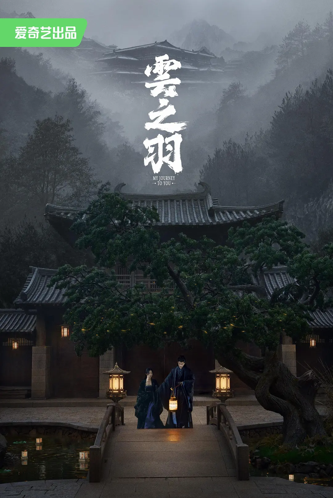 云之羽海报