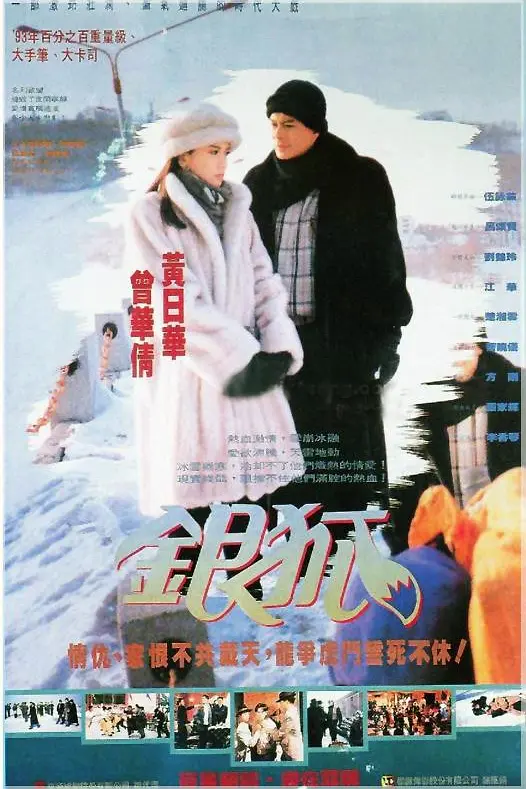 银狐粤语海报