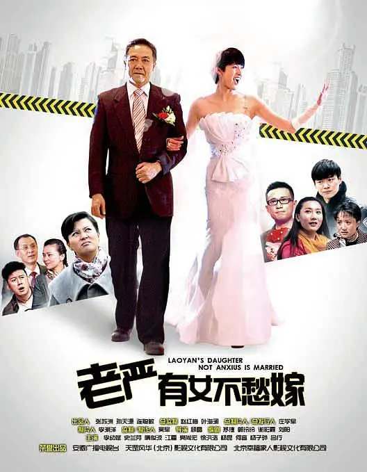 老严有女不愁嫁海报