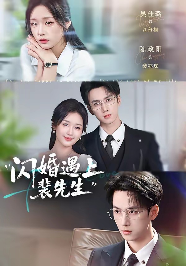 闪婚遇上裴先生第一季海报
